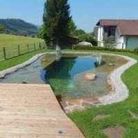 Garten mit Pool